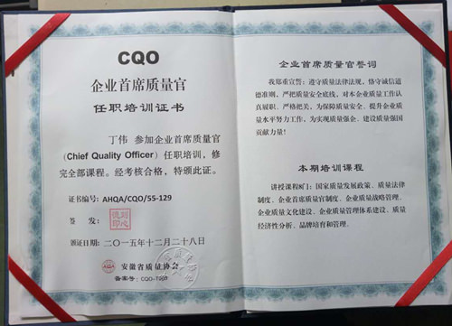 CQO I(y)ϯ|(zh)Ӗ(xn)C